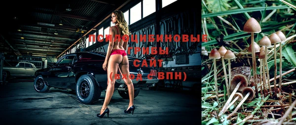 гашиш Новодвинск