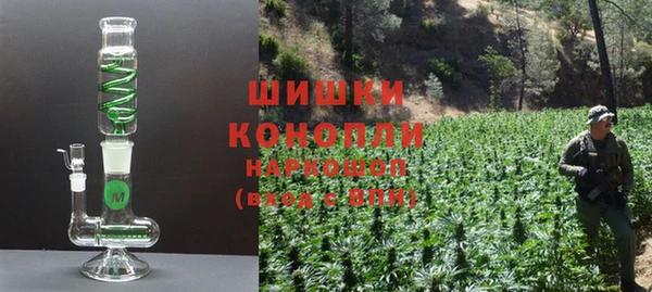 дмт Новокубанск