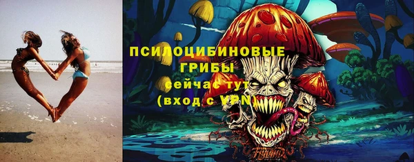 mdpv Няндома
