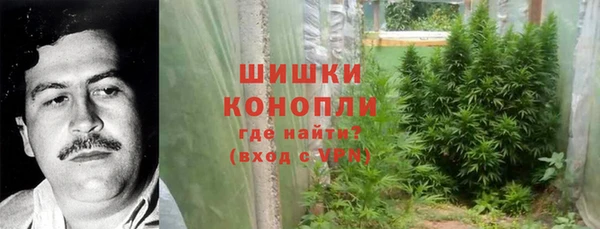 кокс Богородицк